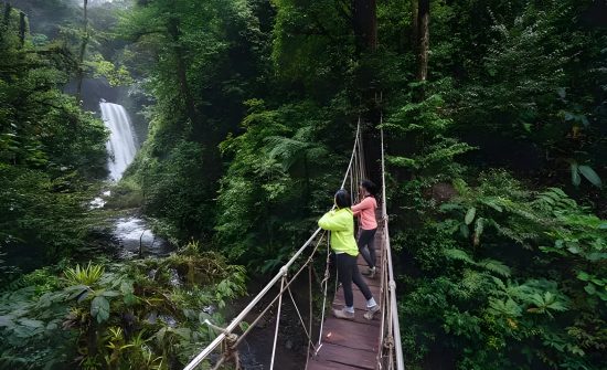 Tigre-Waterfalls-Monteverde-Cloud-Forest-Tour-11.jpg
