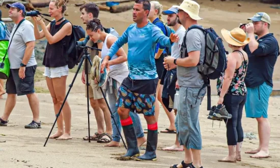 corcovado-hiking-tour